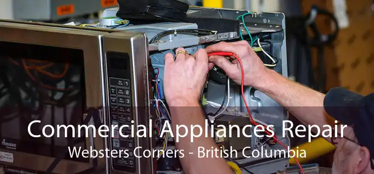 Commercial Appliances Repair Websters Corners - British Columbia