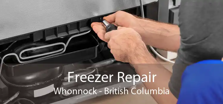Freezer Repair Whonnock - British Columbia