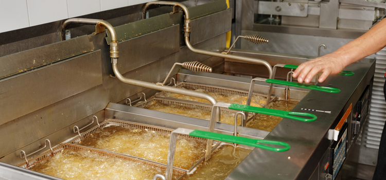 Vent-A-Hood Commercial Fryer Repair in Maple Ridge