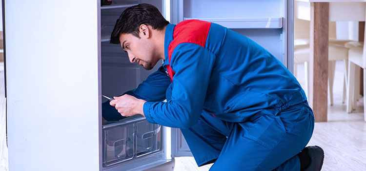Vent-A-Hood Freezer Repair Services in Maple Ridge