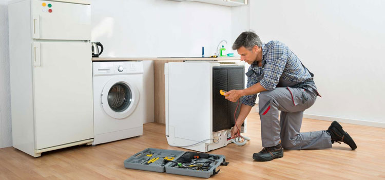 Vent-A-Hood Kitchen Appliance Installation Service in Maple Ridge